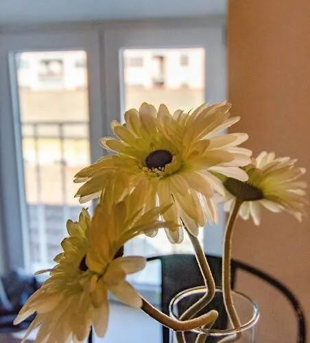 Fuoriporta Affitti Brevi - Corte 3 Con Parcheggio Gratuito Apartment