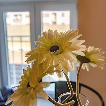 Fuoriporta Affitti Brevi - Corte 3 Con Parcheggio Gratuito 아파트