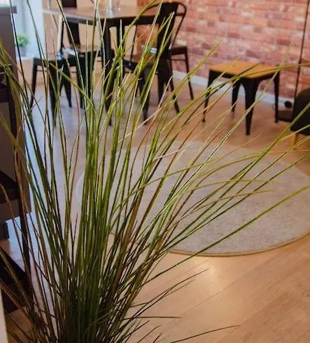 Appartement Fuoriporta Affitti Brevi - Corte 3 Con Parcheggio Gratuito